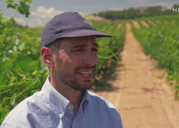 Inteligencia Artificial en Agricultura de Precisión: Guía Completa 2024, Beneficios, Aplicaciones y Futuro