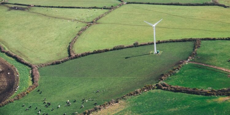 DeepMind lanza IA para optimizar redes de energía renovable
