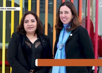 Google y Meta firman alianza con la ONU para usar IA en proyectos de desarrollo sostenible