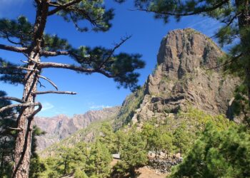 Oracle presenta IA para auditorías financieras automáticas en la nube