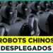 Robots humanoides e IA física avanzan hacia pruebas masivas en entornos industriales